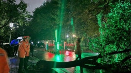 [속보] 파주 문산 시간당 100mm‥경기북부 8개 시·군 호우특보