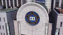 횡단보도 달리다 택시와 부딪힌 자전거‥법원 차량신호 위반 유죄