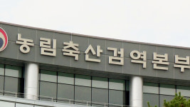 충남 서산 오리농장서 AI 항원‥고병원성 여부 조사 중