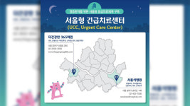 서울시, 설 연휴 비상의료체계 가동‥병의원·약국 4만 3천 곳 운영