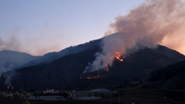 강원 정선군 주불 진화 완료‥1명 화상·15명 긴급 대피