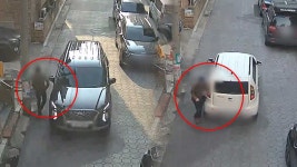 고양시 빌라단지서 손목치기 보험사기 벌인 50대 남성 검거
