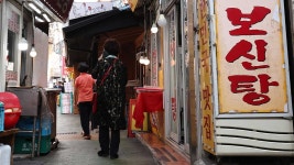 개식용종식법 1년, 사육농장 10곳 중 7곳 문 닫아