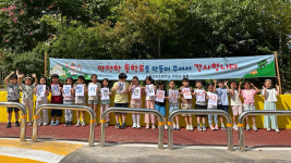 등하굣길 위험해요 민원 쏟아졌던 서울 강남 초등학교 통학로 개선