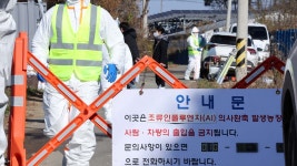 전북 남원 육용종계 농장서 H5형 조류인플루엔자 확인