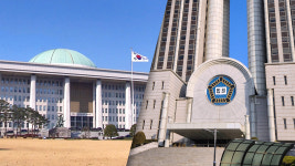 법원은 무작위 배당을 한 적 없다 [서초동M본부]