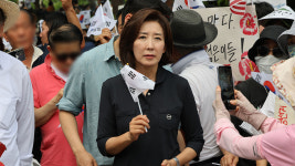 '尹 체포 방해 혐의' 나경원, 종합특검 출석 통보에 