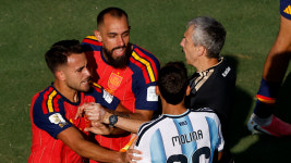 FIFA 월드컵 결승전 패배 후 난투극 벌인 아르헨티나 조사