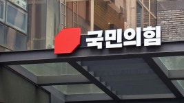국민의힘 윤리위 당 대표 단순 비판은 징계대상 아냐