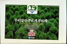 유한킴벌리 - 우리강산 푸르게 푸르게 30주년, 신혼부부 나무심기 참가자 모집