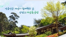 안면도자연휴양림과 한탄강 오토캠핑장, 축복받은 자연을 맘껏 즐길 수 있는 곳‥입장료도 싸다