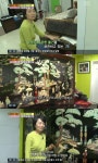 여유만만 성병숙 집공개, 엄마가 물려주신 옥돌장 눈길