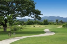 개성 있게 골라친다, 4개국 맞춤 골프투어