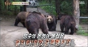 그런데 말입니다~ 동물농장 김상중, 고발프로그램식 나레이션 화제