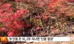 올해 단풍 절정 시기, 설악산에서 첫 단풍…내달 18일 절정