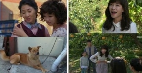 왔다 장보리 악녀 연민정의 굴욕, 웃음…점 찍은 민소희에 동네 개로?