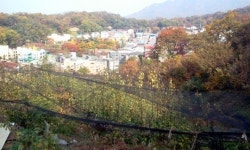 내년초 수도권 규제 완화 적극추진에 과천 문원동 토지분양 관심도 상승