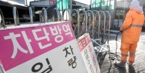 안성 구제역 의심 돼지농장 4곳··모두 양성 감염 확인