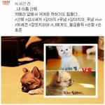 삼시세끼 벌이 등장...산체 인스타그램 나에게도 월급 줘