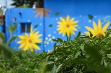 고양시 화전동, 행복이 꽃피는 벽화마을 알린다