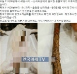 청주 고양이 학대, 경찰 범행 도구서 DNA 찾겠다…고양이 수술은?
