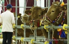 거세소, 한우 암소로 둔갑해 판매한 유명 프랜차이즈는 어디?