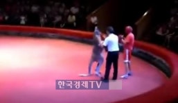 [핫!영상] 인간 VS 캥거루 권투시합 진땀나네