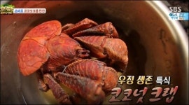 정글의 법칙 코코넛크랩 천국의 맛, 대하의 효능은?