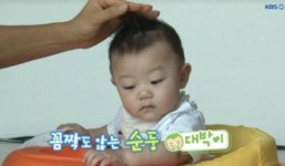 슈퍼맨이돌아왔다 삼둥이, 하차 후 대박이가 잇나