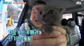 [예능진단③]펫방 예능 트렌드 이끌 수 있을까