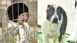 오 마이 베이비 사강 딸 채흔, 개밥 보고 군침흘려 폭소