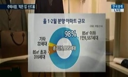 아파트 분양 시장, 스몰 하우스 열풍