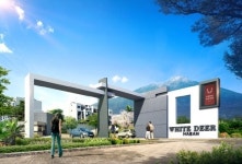 육지는 경부라인…제주는 평화로 라인… 고급빌라, 타운하우스, 골프장 등 몰려