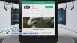 [앱으로 여는 세상] 이제는 펫시터(반려동물 돌봄이) 시대ㆍㆍㆍ펫스테이