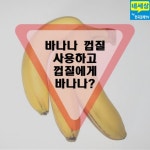 [카드뉴스] 바나나 먹고나면 나한테 반하나?