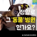 [카드뉴스] 정말로 그 동물병원 인가요?