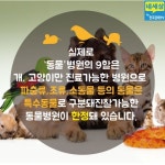 [카드뉴스] 정말로 그 동물병원 인가요?