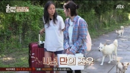JTBC 효리네 민박 아이유, 체크셔츠 하나로도 매력 뽐뿌