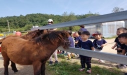 가을 농장체험 행사 팜파티, 오는 16일 철원서 개최
