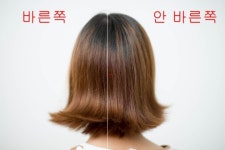 [신제품 돋보기] 모발 끝이 자꾸 갈라진다고?