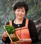 강원맥 산양산삼 농장, 청정자연 강원도 홍천에서 자란 GAP 인증 베이비 진생(새싹삼), 산양산삼 등 인기