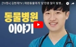 펫 닥터스, 김현재TV | 진료 사례로 듣는 반려견 신부전증 주의보