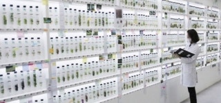 과일 유통기한 2배 증가시켜주는 기술에서 착안한 ㈜자연물질연구소 실트벨크렘 주목