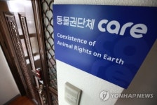 카라 케어 안락사 논란, 단체운영 위한 살처분