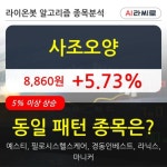 사조오양, 전일대비 5.73% 상승... 최근 주가 상승흐름 유지