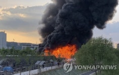 서울 서초구 화훼단지 비닐하우스 화재 진화