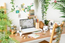 텐바이텐, 책상꾸미기 기획전 모여봐요 나만의 숲 진행