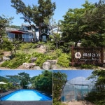 포천 ‘해바라기·수영장 펜션’ 농장체험, 정원, 조경…가족·동호인 힐링명소로 ‘각광’