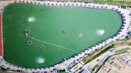 궁평바다낚시터, 티켓트리로 낚시산업 매출 페이백 진행