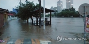 대전 물폭탄에 침수 피해 속출…갑천 원촌교 홍수 경보